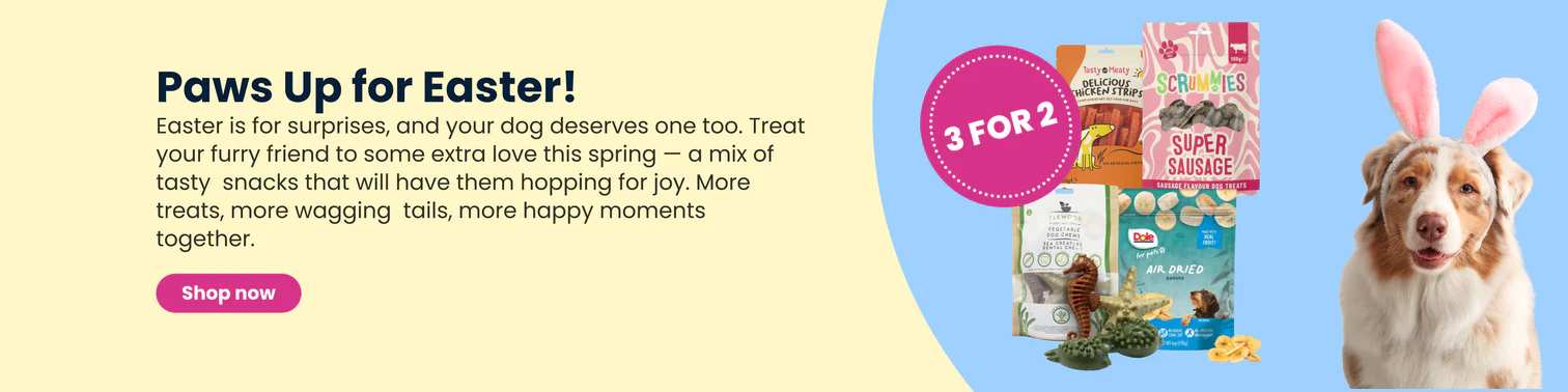 Your Pet's Happy, Healthy Life